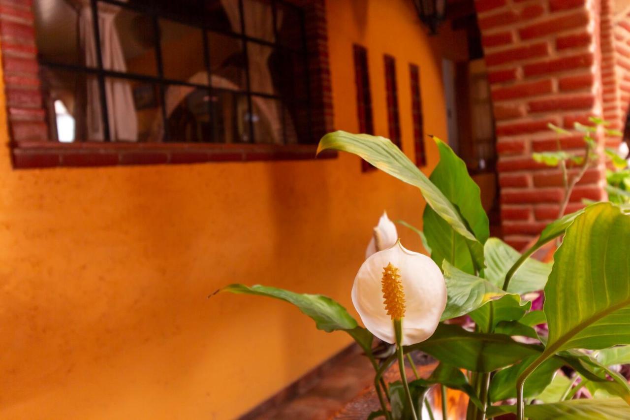Mex Suites Casa Azul B&B Mexico-stad Buitenkant foto